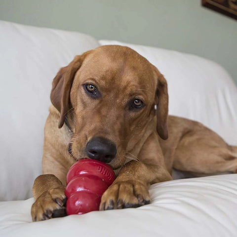 Snacks Liver