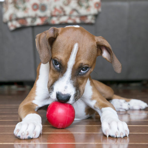 KONG Classic Ball